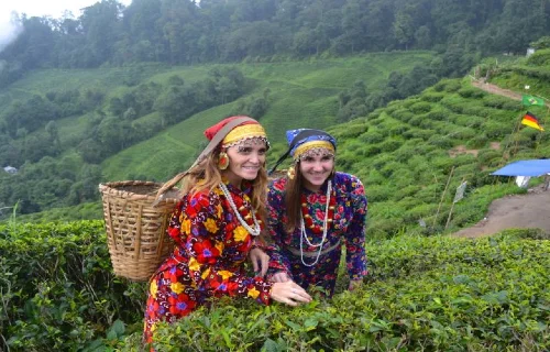 darjeeling-tour