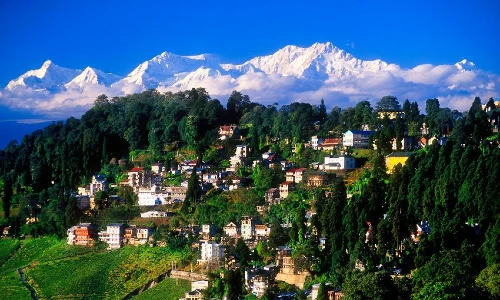 darjeeling