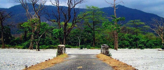 Jayanti